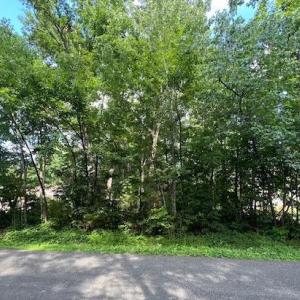 Photo #4 of 507 LIBERTY BLVD, LOCUST GROVE, VA 0.3 acres