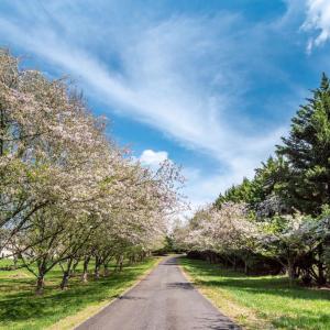 Photo #13 of HAWTHORNE DR, RAPIDAN, VA 7.4 acres