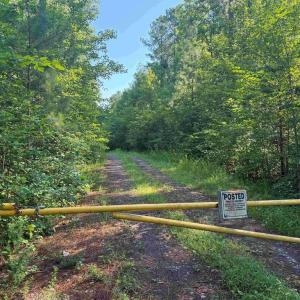 Photo #1 of BANNISTER TOWN ROAD (TRACT DTOF LOUISA), LOUISA, VA 264.0 acres