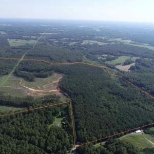 Photo #3 of BANNISTER TOWN ROAD (TRACT DTOF LOUISA), LOUISA, VA 264.0 acres
