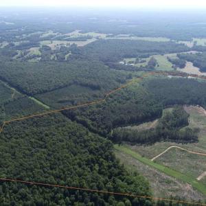 Photo #4 of BANNISTER TOWN ROAD (TRACT DTOF LOUISA), LOUISA, VA 264.0 acres