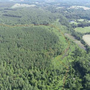 Photo #6 of BANNISTER TOWN ROAD (TRACT DTOF LOUISA), LOUISA, VA 264.0 acres