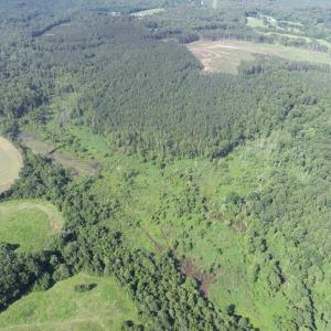 Photo #7 of BANNISTER TOWN ROAD (TRACT DTOF LOUISA), LOUISA, VA 264.0 acres