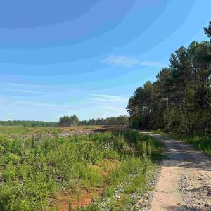 Photo #11 of BANNISTER TOWN ROAD (TRACT DTOF LOUISA), LOUISA, VA 264.0 acres