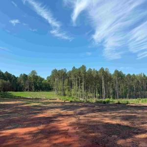 Photo #13 of BANNISTER TOWN ROAD (TRACT DTOF LOUISA), LOUISA, VA 264.0 acres
