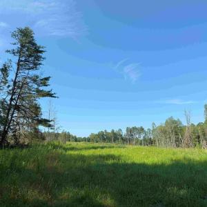 Photo #17 of BANNISTER TOWN ROAD (TRACT DTOF LOUISA), LOUISA, VA 264.0 acres