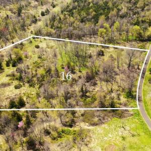 Photo #13 of HAWTHORNE DR, RAPIDAN, VA 5.1 acres