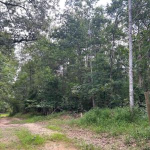 Photo #1 of BICKERS LN, ORANGE, VA 2.0 acres