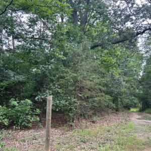 Photo #3 of BICKERS LN, ORANGE, VA 2.0 acres