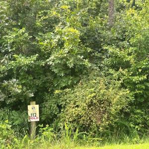 Photo #3 of FAIRVIEW DR, MINERAL, VA 1.1 acres