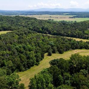 Photo #12 of 12 SHULER LN, STANLEY, VA 11.5 acres