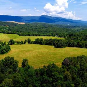 Photo #3 of 12 SHULER LN, STANLEY, VA 11.5 acres