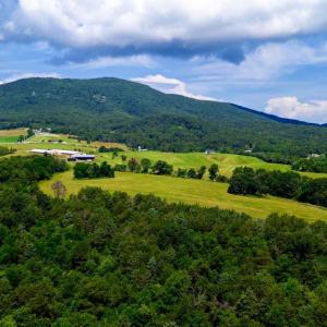 Photo #10 of 12 SHULER LN, STANLEY, VA 11.5 acres