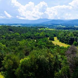 Photo #9 of 12 SHULER LN, STANLEY, VA 11.5 acres