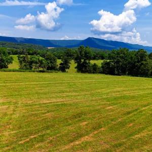 Photo #8 of 12 SHULER LN, STANLEY, VA 11.5 acres