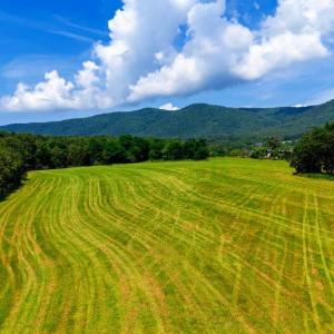 Photo #2 of 12 SHULER LN, STANLEY, VA 11.5 acres
