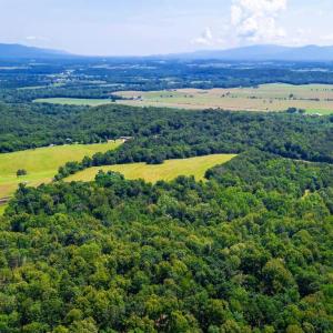 Photo #6 of 12 SHULER LN, STANLEY, VA 11.5 acres