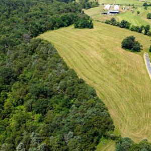 Photo #11 of 12 SHULER LN, STANLEY, VA 11.5 acres