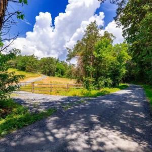 Photo #15 of 12 SHULER LN, STANLEY, VA 11.5 acres