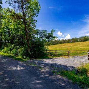 Photo #14 of 12 SHULER LN, STANLEY, VA 11.5 acres