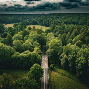 Photo #1 of MALLORYS FORD RD, LOUISA, VA 32.0 acres