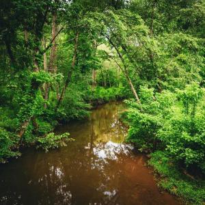 Photo #3 of MALLORYS FORD RD, LOUISA, VA 32.0 acres