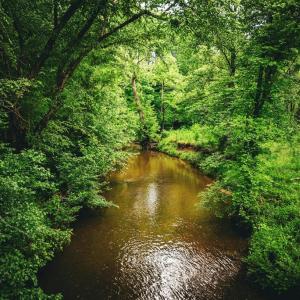 Photo #4 of MALLORYS FORD RD, LOUISA, VA 32.0 acres