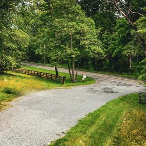 Photo #9 of MALLORYS FORD RD, LOUISA, VA 32.0 acres