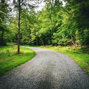 Photo #12 of MALLORYS FORD RD, LOUISA, VA 32.0 acres