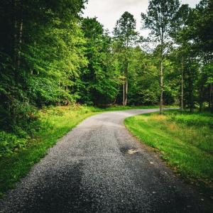 Photo #13 of MALLORYS FORD RD, LOUISA, VA 32.0 acres