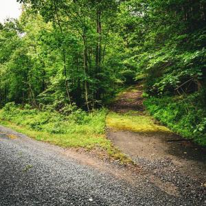 Photo #14 of MALLORYS FORD RD, LOUISA, VA 32.0 acres