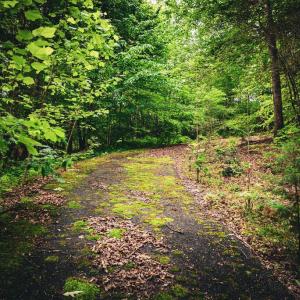 Photo #15 of MALLORYS FORD RD, LOUISA, VA 32.0 acres