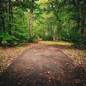 Photo #17 of MALLORYS FORD RD, LOUISA, VA 32.0 acres