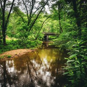 Photo #32 of MALLORYS FORD RD, LOUISA, VA 32.0 acres