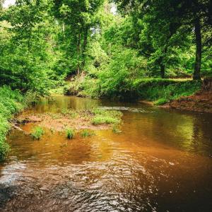Photo #33 of MALLORYS FORD RD, LOUISA, VA 32.0 acres