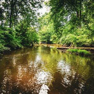 Photo #34 of MALLORYS FORD RD, LOUISA, VA 32.0 acres
