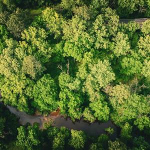Photo #37 of MALLORYS FORD RD, LOUISA, VA 32.0 acres
