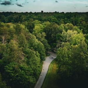 Photo #38 of MALLORYS FORD RD, LOUISA, VA 32.0 acres