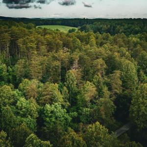 Photo #39 of MALLORYS FORD RD, LOUISA, VA 32.0 acres