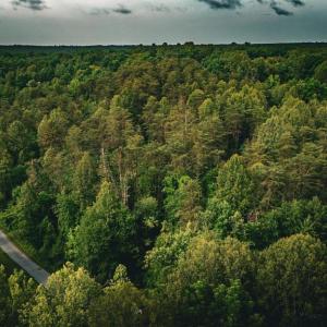 Photo #40 of MALLORYS FORD RD, LOUISA, VA 32.0 acres