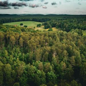 Photo #41 of MALLORYS FORD RD, LOUISA, VA 32.0 acres