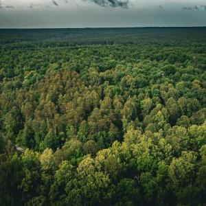 Photo #43 of MALLORYS FORD RD, LOUISA, VA 32.0 acres