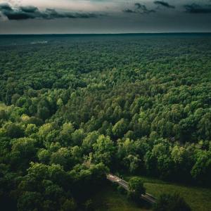 Photo #44 of MALLORYS FORD RD, LOUISA, VA 32.0 acres