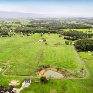 Photo #1 of PINEY WOODS, LURAY, VA 7.8 acres