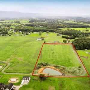 Photo #4 of PINEY WOODS, LURAY, VA 7.8 acres
