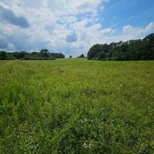 Photo #36 of 11145 BRENT TOWN RD, CATLETT, VA 36.9 acres