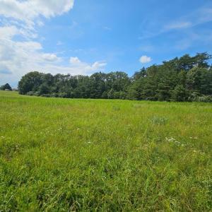 Photo #34 of 11145 BRENT TOWN RD, CATLETT, VA 36.9 acres