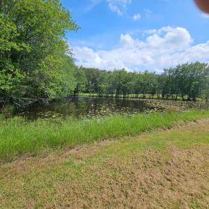 Photo #42 of 11145 BRENT TOWN RD, CATLETT, VA 36.9 acres