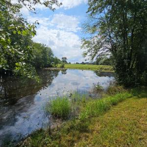 Photo #46 of 11145 BRENT TOWN RD, CATLETT, VA 36.9 acres