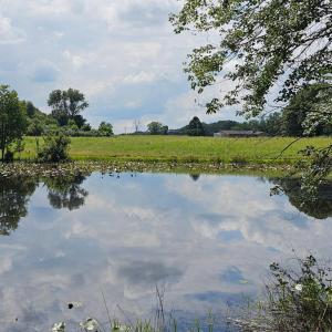 Photo #47 of 11145 BRENT TOWN RD, CATLETT, VA 36.9 acres